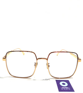 CD DIORCANNAGEO S1F - WITH BLUE FILTRE LENS